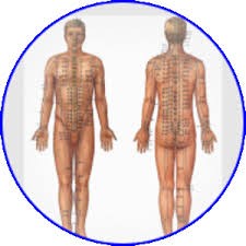 Acupuncture Courses