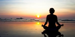 Meditation Courses