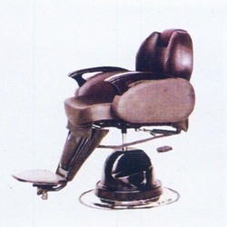 Salon Chair