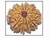 Rudraksha Beads