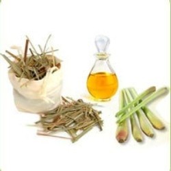 Lemongrass Oil