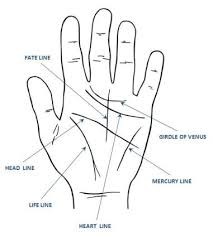 Palmistry