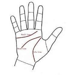 Palmistry