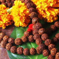 Rudraksha Mala (108 Beads)