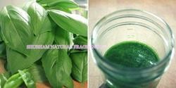 Basil Oil