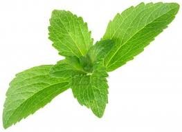 Stevia Leave