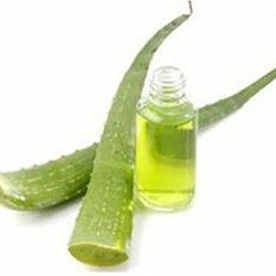 Aloe Vera Shampoo