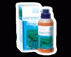 Gamat Extract with Honey Health Food