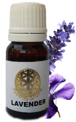 Lavender Essential Oil