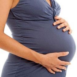 Protein Powder for Pregnancy