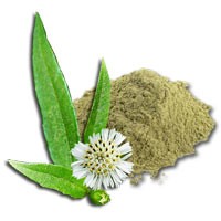 Bhringraj Powder