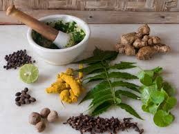 Ayurveda Courses