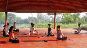 Yoga Teacher Training