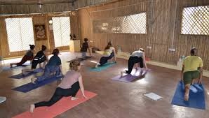 yoga School