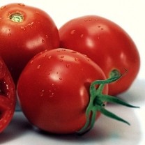 Lycopene