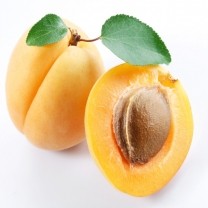 Apricot Extract