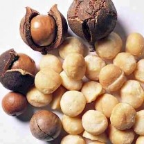 Macadamia Nut Oil