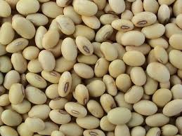 Organic soyabean