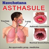 Navchetana Asthasule