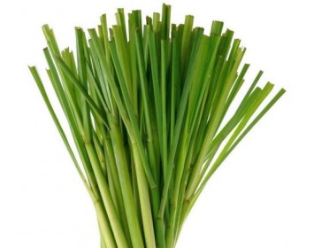 Lemongrass Oil