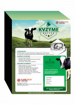 Kvzyme