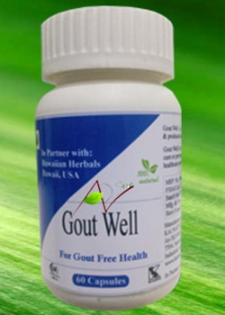 Gout Well