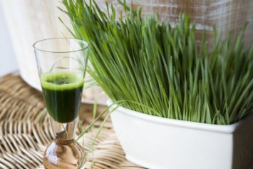 Wheat Grass Juice