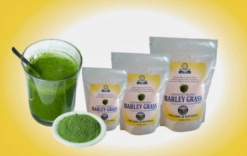 BARLEY GRASS POWDER