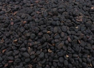 Sell Psoralea corylifolia (Babchi , Bavanchalu) Seeds