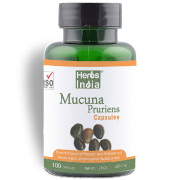 Mucuna Pruriens Capsules