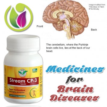 Medicines for Brain Diseases