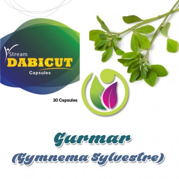 Gurmar (Gymnema Sylvestre) Medicine