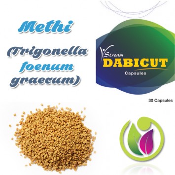 Methi  (Trigonella foenum graecum)