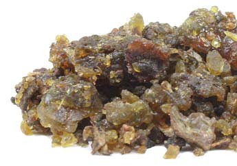 Guggul Extract (2.5%)