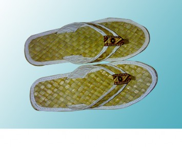 spa slipper