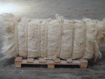 sisal fiber