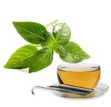 Basil oil