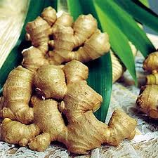 Ginger oil