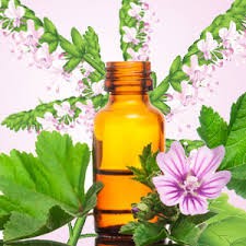 Patchouli oil