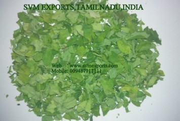 Moringa Dried Leaves Exporters