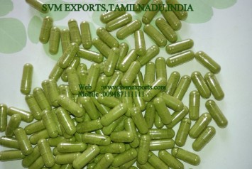 Moringa Capsule Exporters