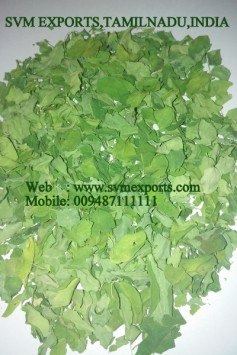 Moringa Dried Leaves Suppliers