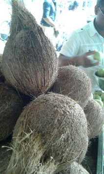 Semi husk coconut