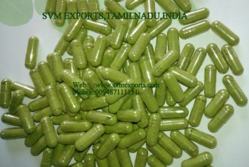 Moringa Capsules Manufacturers