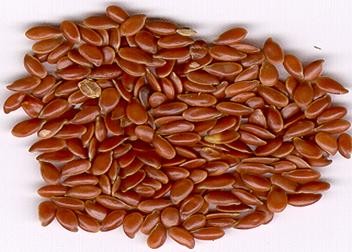 Flax Seed(Linum Usitatissimum)