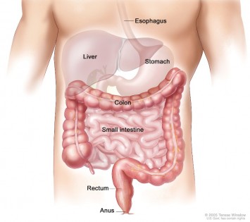 Colonic Irrigation System