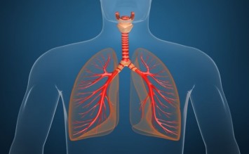 Therapy for Respiratory Diseases