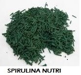 SPIRULINA