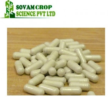 Herbal Amalaki Capsules