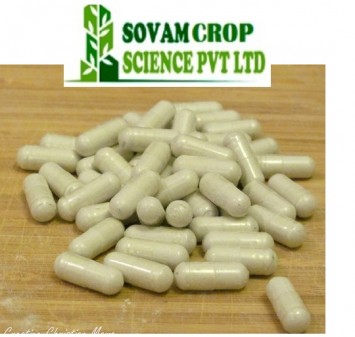 Sugar Control Capsules